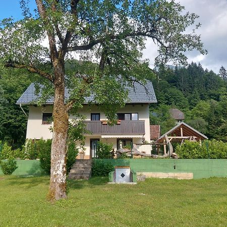Apartmaji Katrc Soca Bagian luar foto