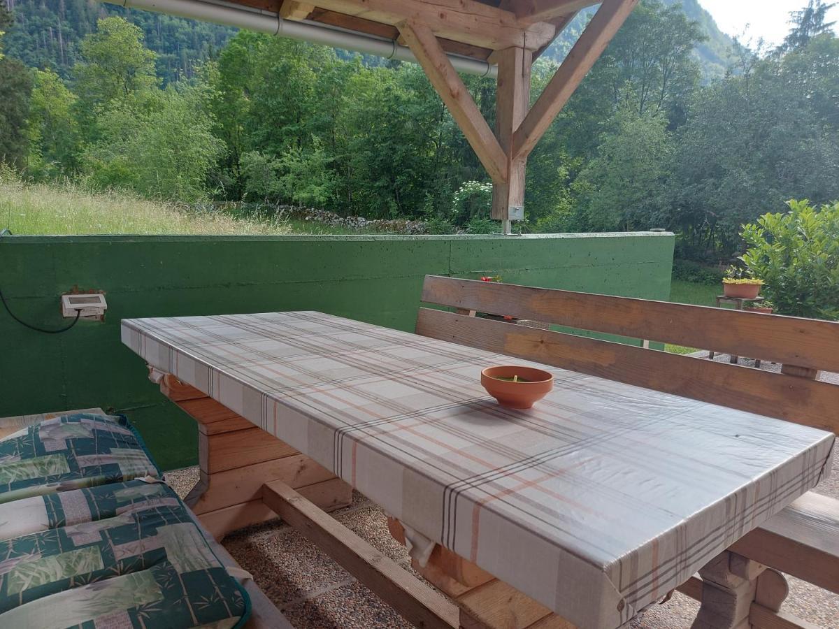 Apartmaji Katrc Soca Bagian luar foto