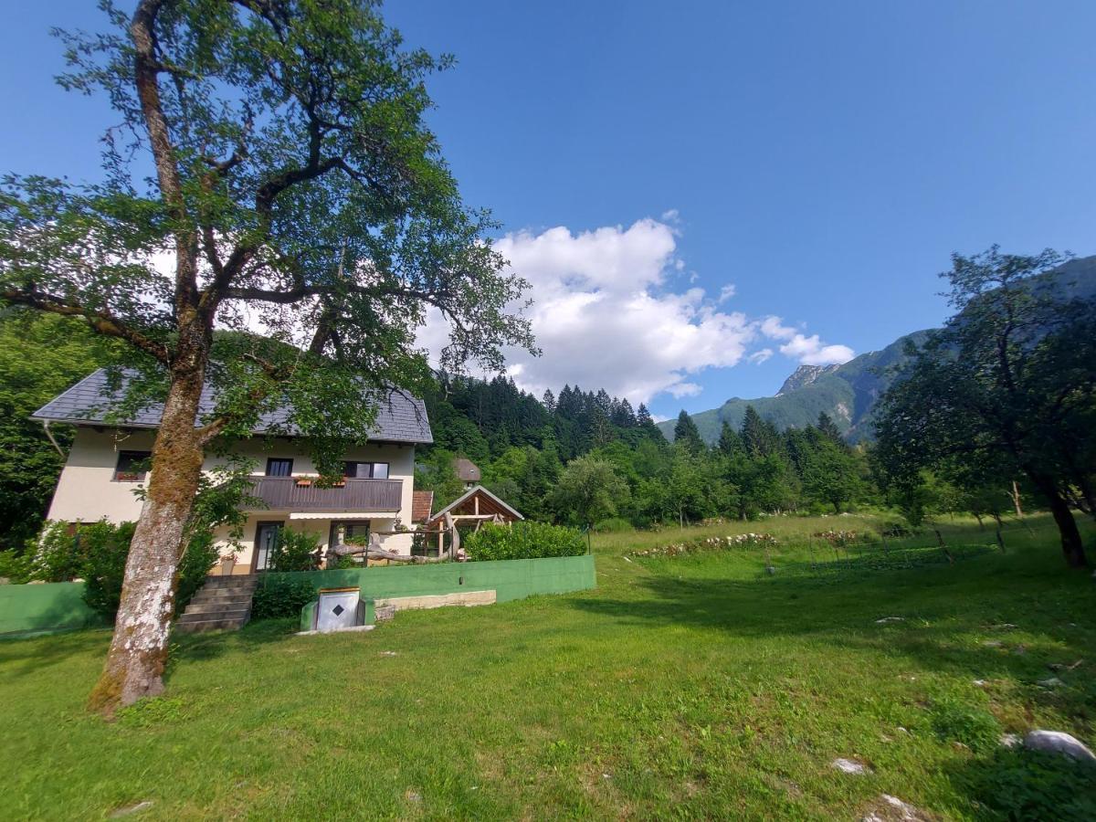 Apartmaji Katrc Soca Bagian luar foto