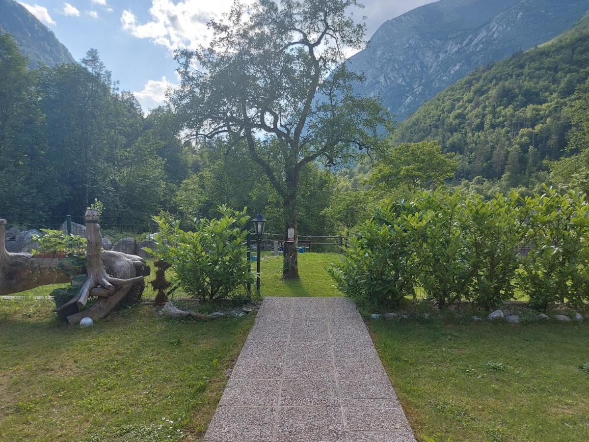 Apartmaji Katrc Soca Bagian luar foto
