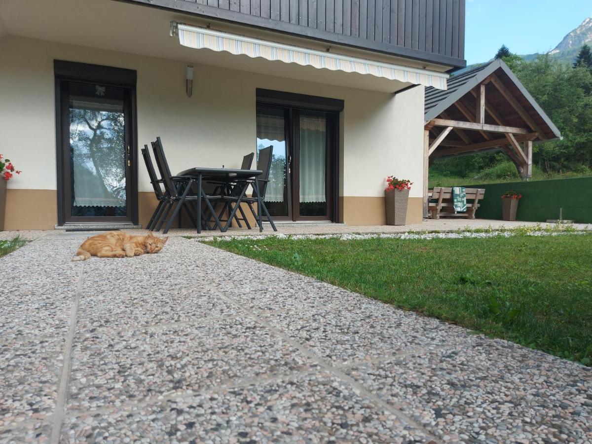 Apartmaji Katrc Soca Bagian luar foto