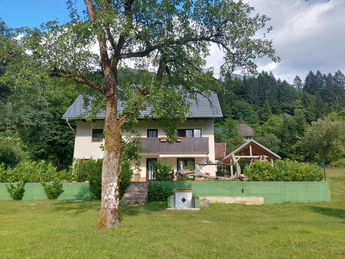 Apartmaji Katrc Soca Bagian luar foto