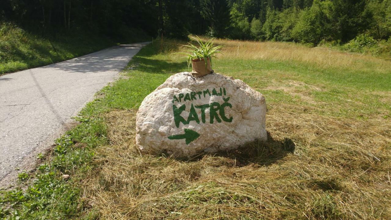 Apartmaji Katrc Soca Bagian luar foto