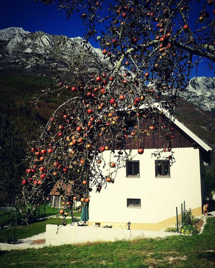 Apartmaji Katrc Soca Bagian luar foto