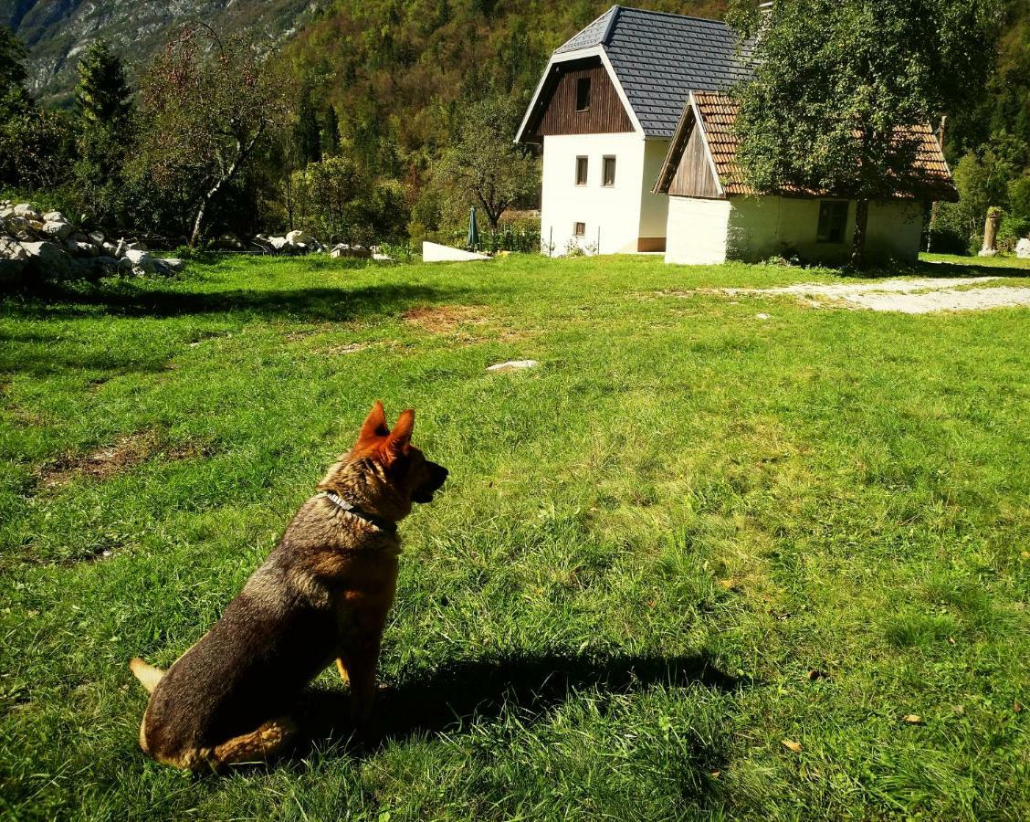 Apartmaji Katrc Soca Bagian luar foto